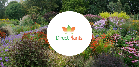 direct plants linnworks
